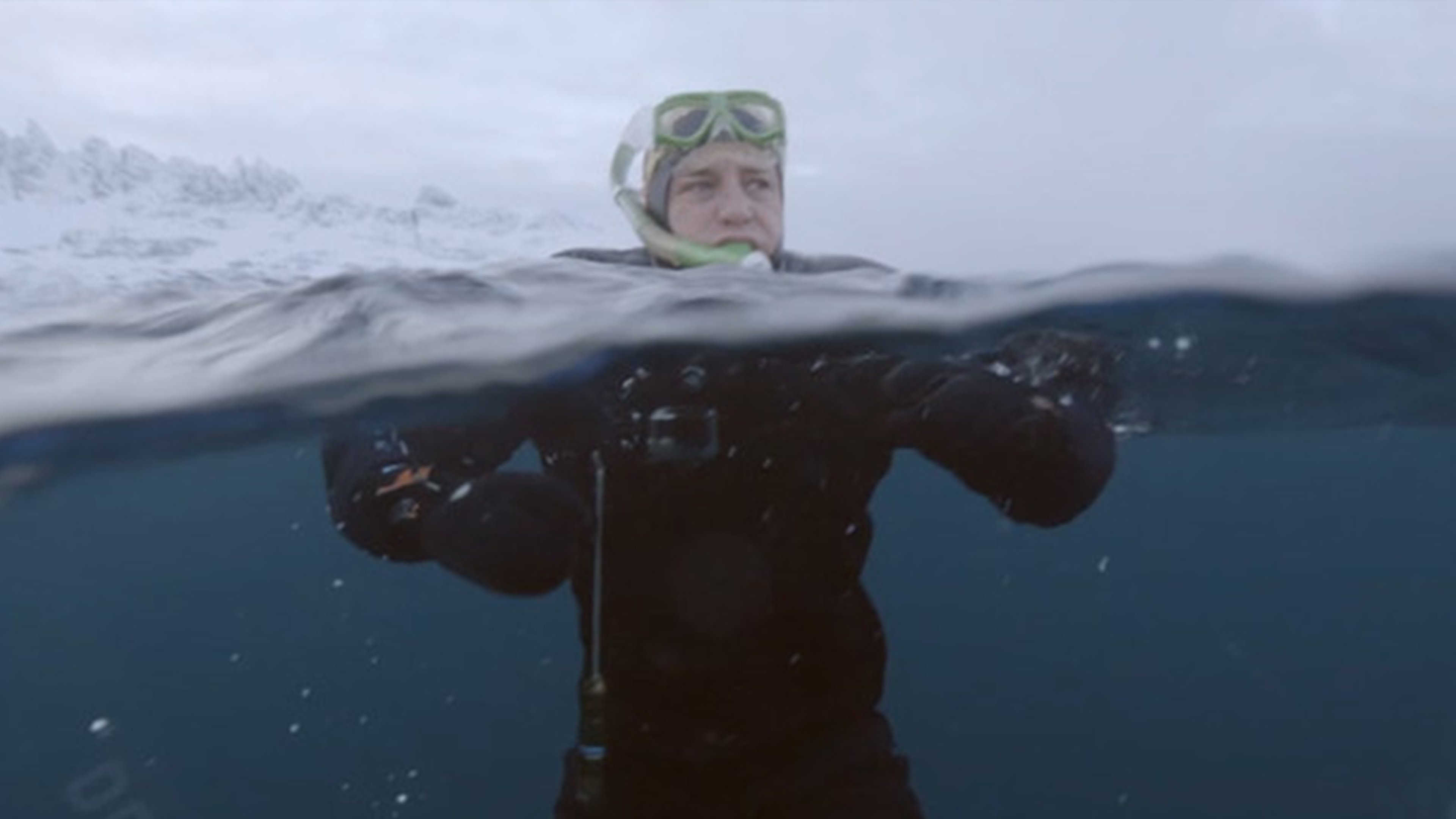 Till the edge: swim with a whale (2020)