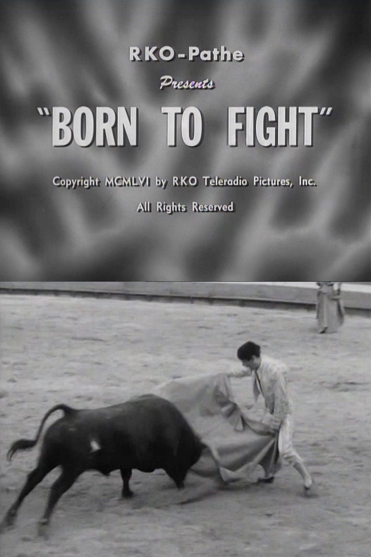 Born to Fight