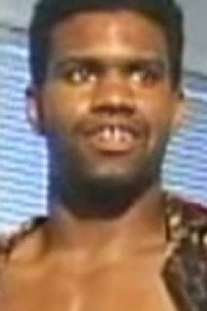 et billede af Knight Stick