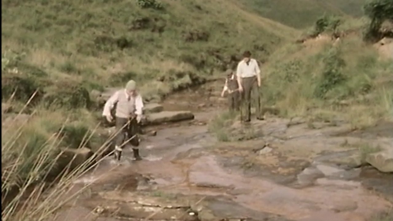 Last of the Summer Wine