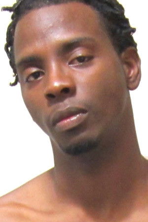 et billede af Trydis