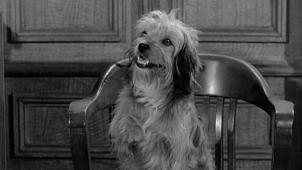 Petticoat Junction