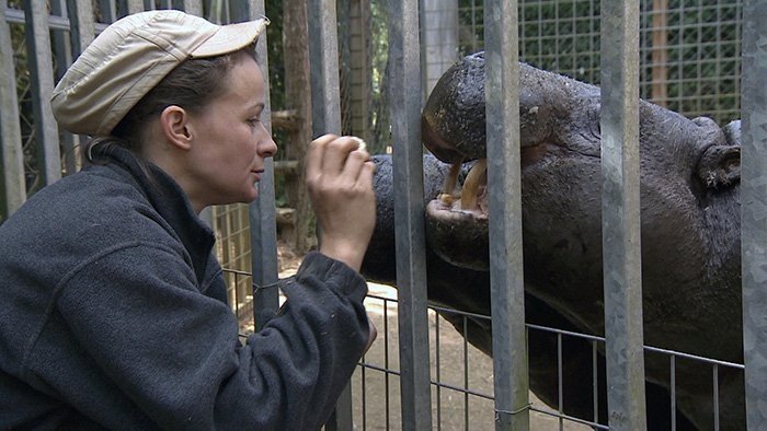 Une saison au zoo