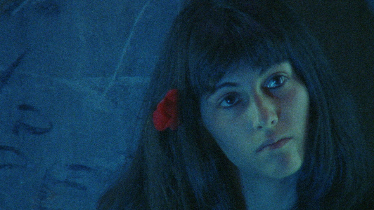 Ein Blick und die Liebe bricht aus