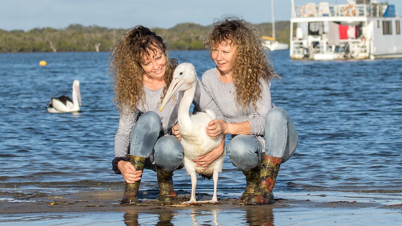 Australian Story