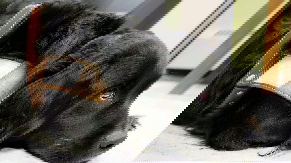 Thumbnail for Episode 2 Season 1 Episode 2