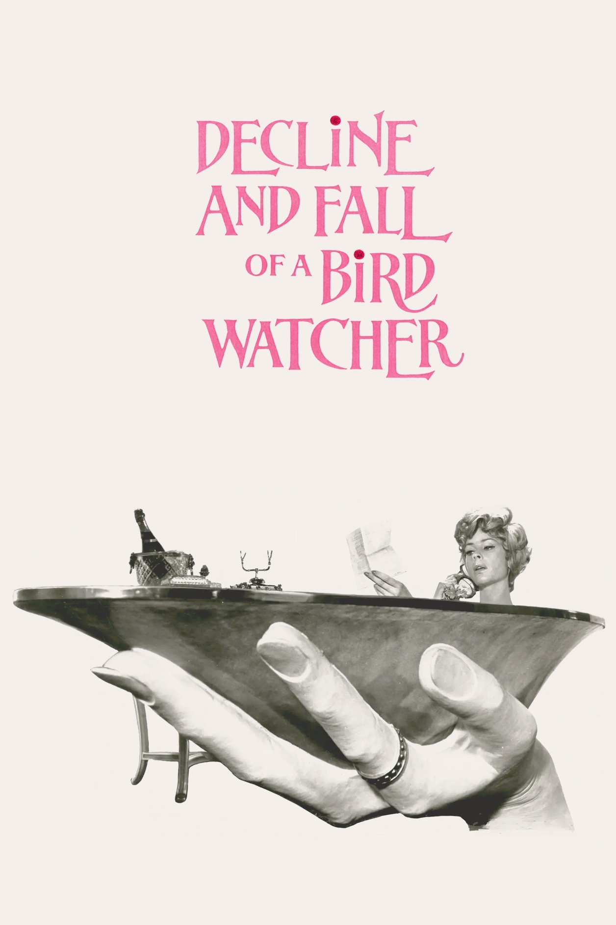 Decline and Fall ...of a Birdwatcher