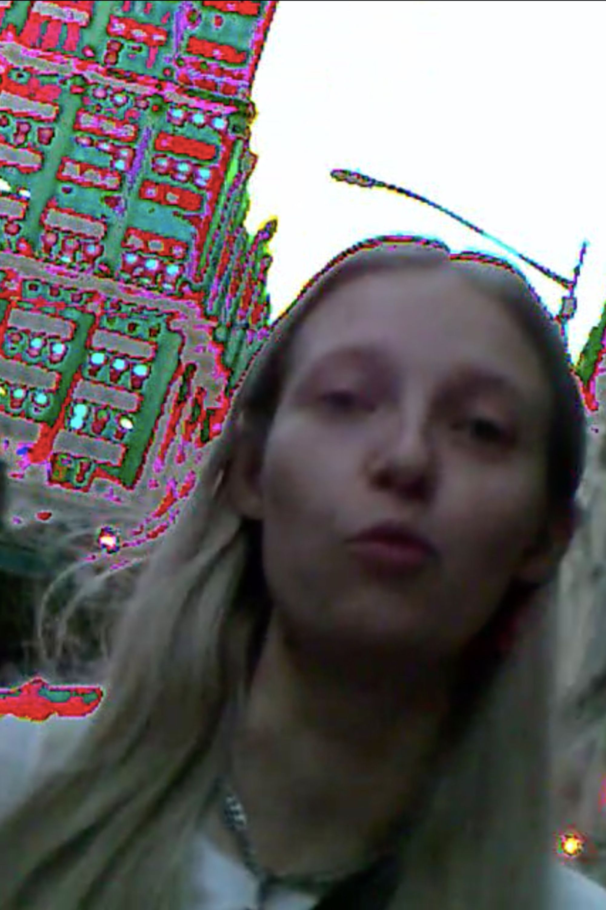 et billede af Annelise Lipowitz