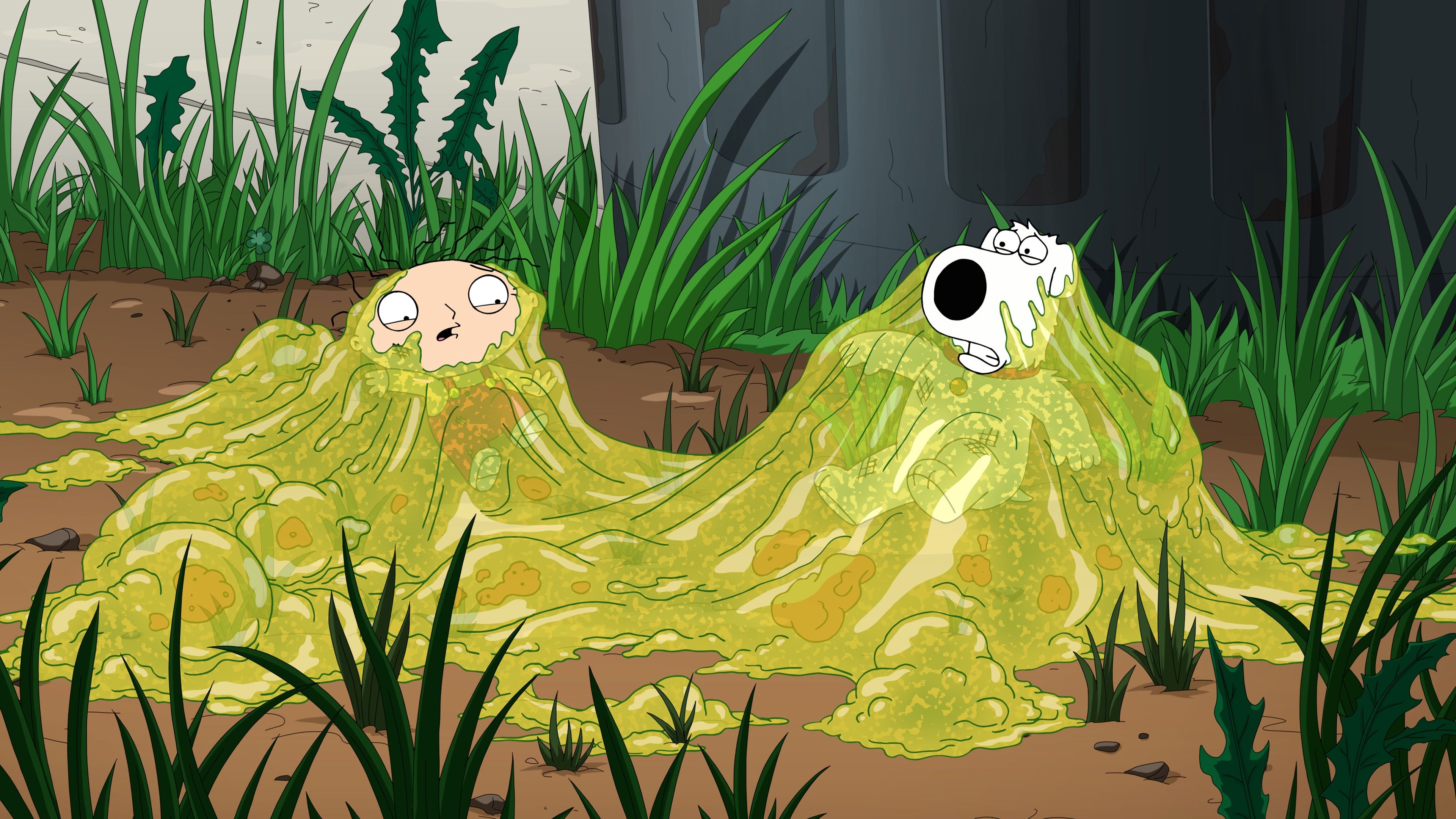 Family Guy Season 17 :Episode 4  Big Trouble in Little Quahog