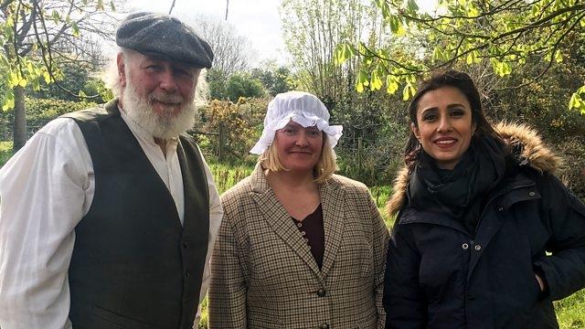 Countryfile 32x17