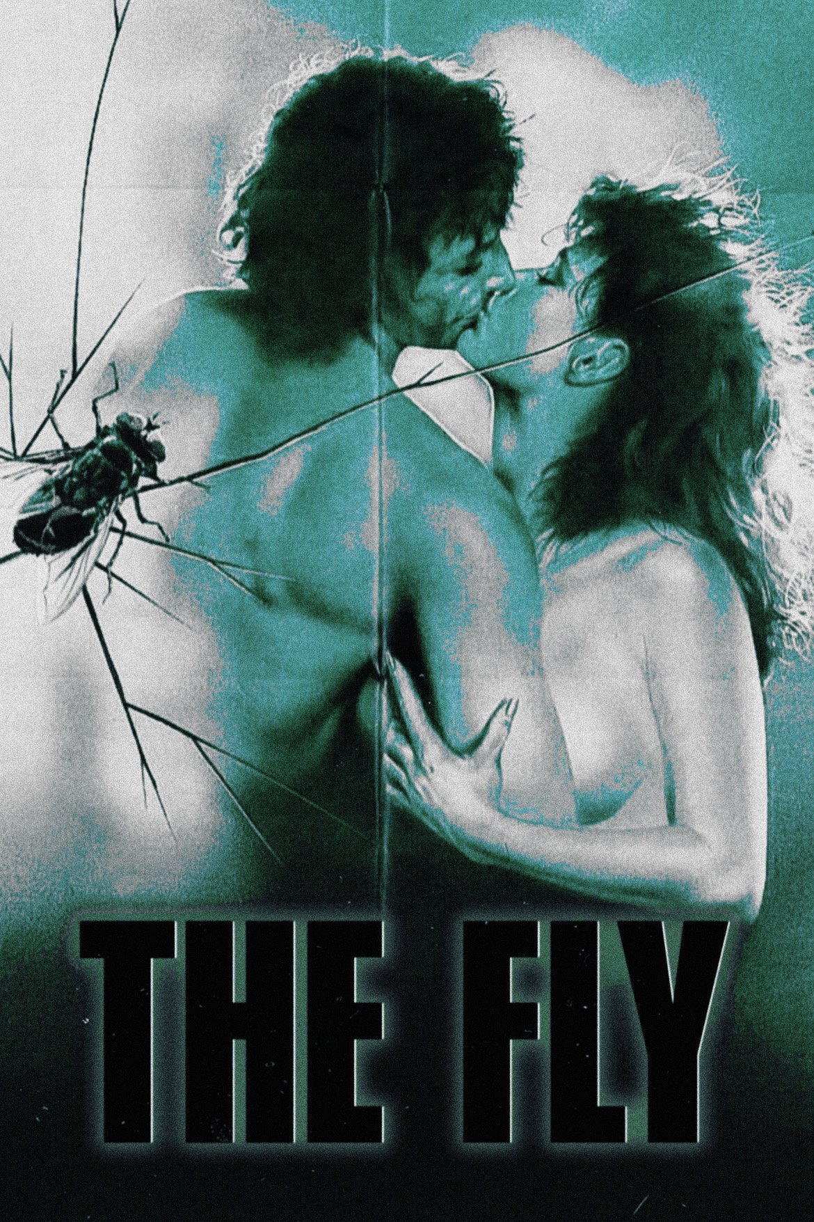 The Fly