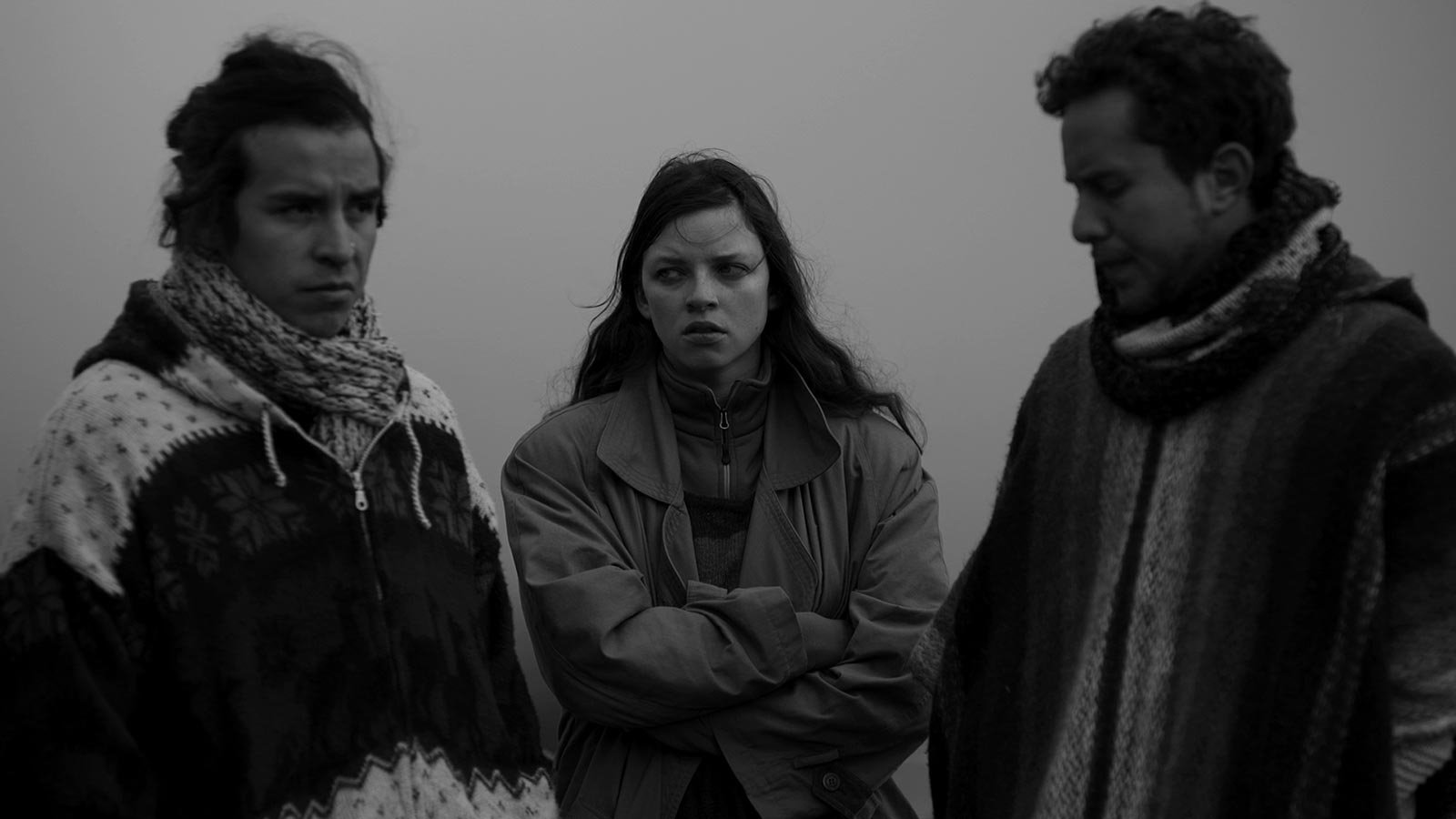 Chuquiragua (2016)