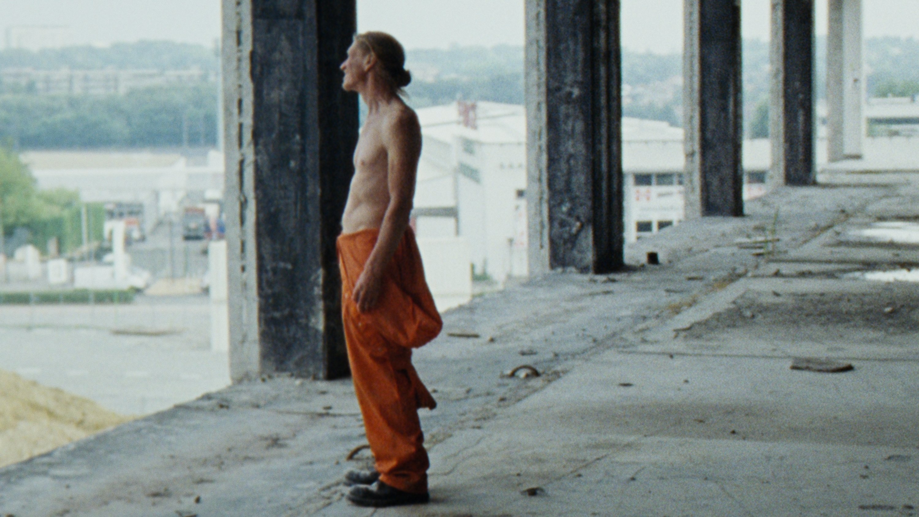 Window (2024)
