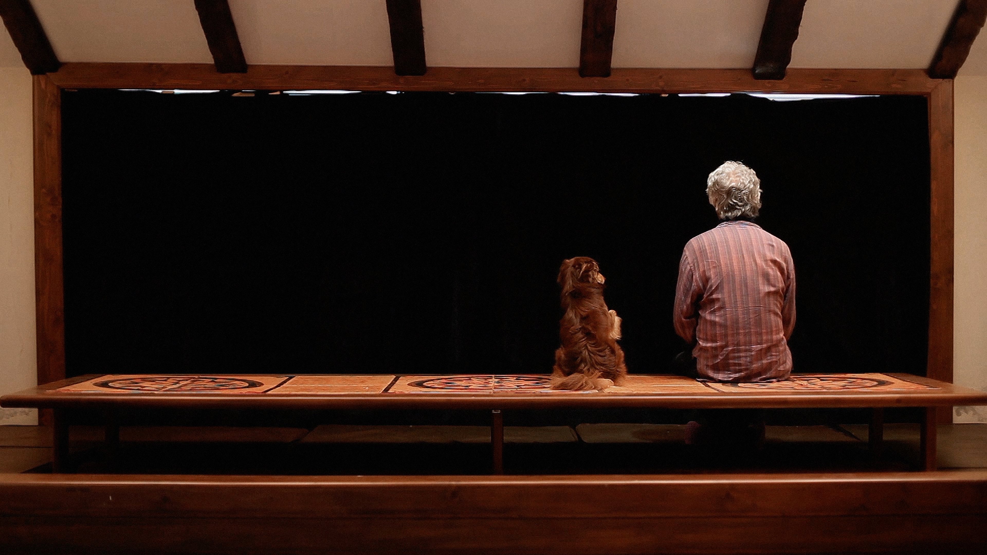 Closed Curtain (2013)