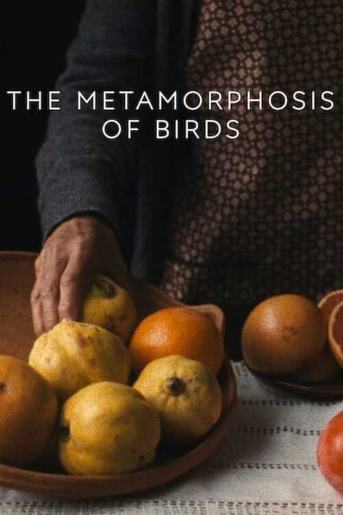 The Metamorphosis of Birds