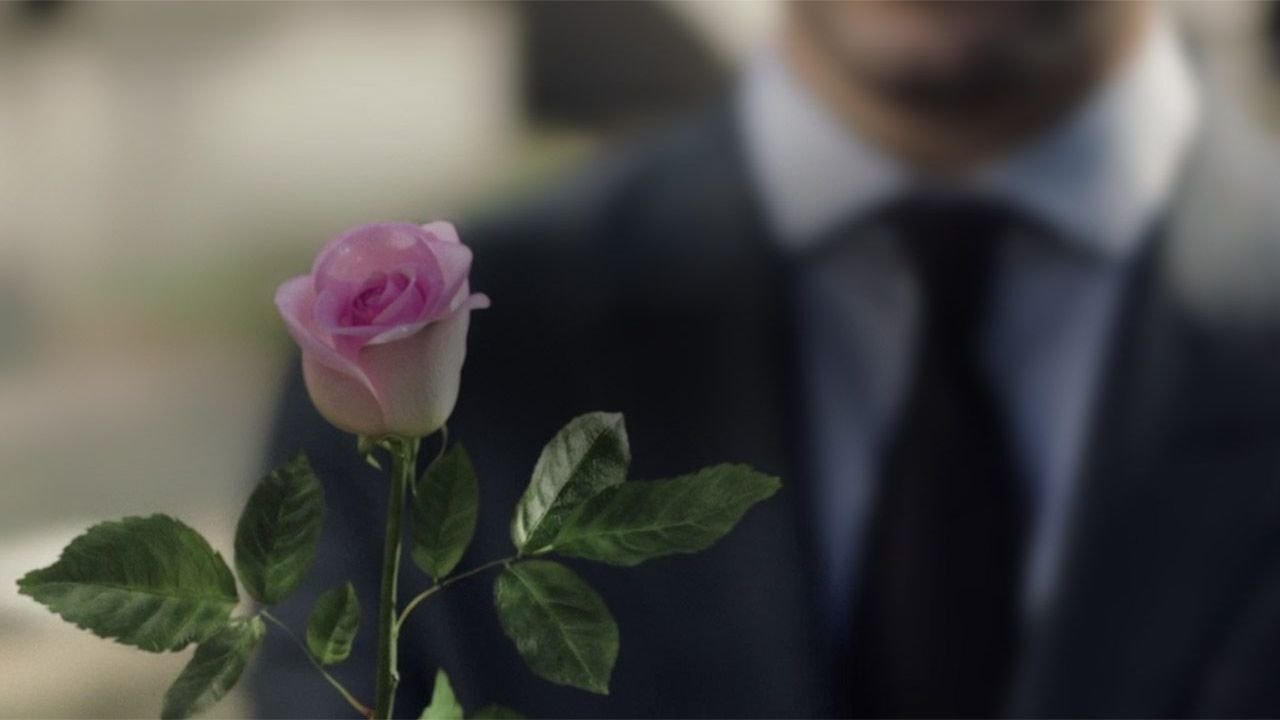A Rose Reborn (2014)