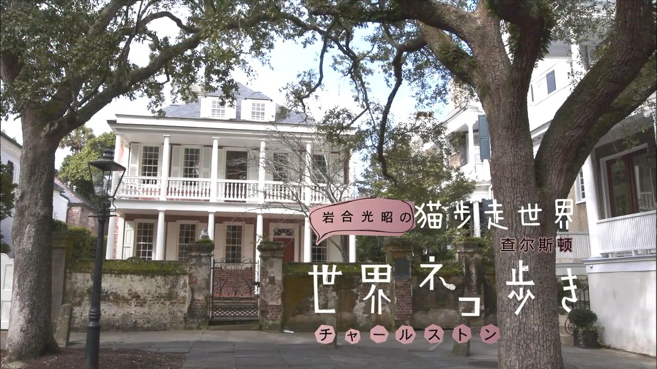 Episode 29