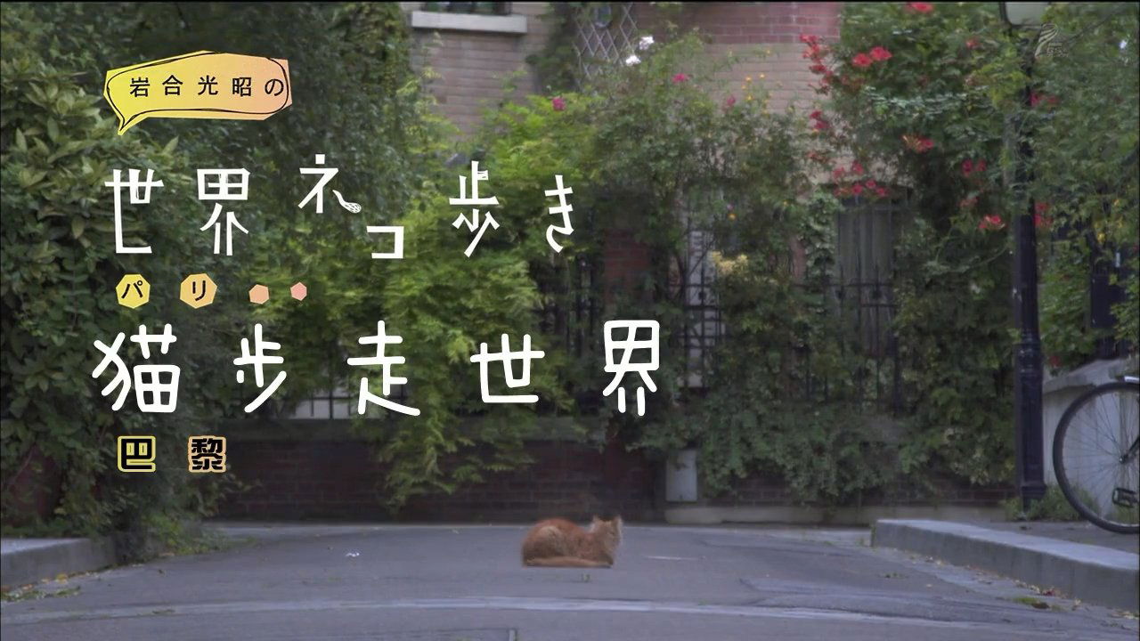 Episode 24