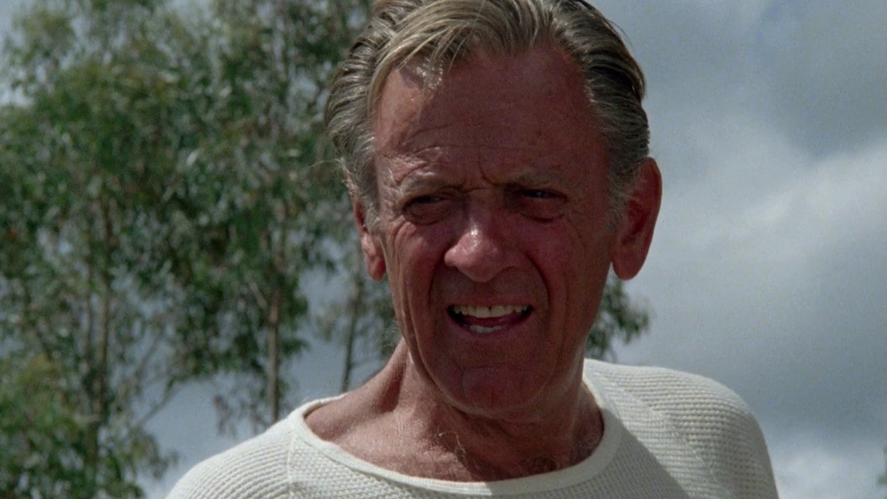 The Earthling (1980)