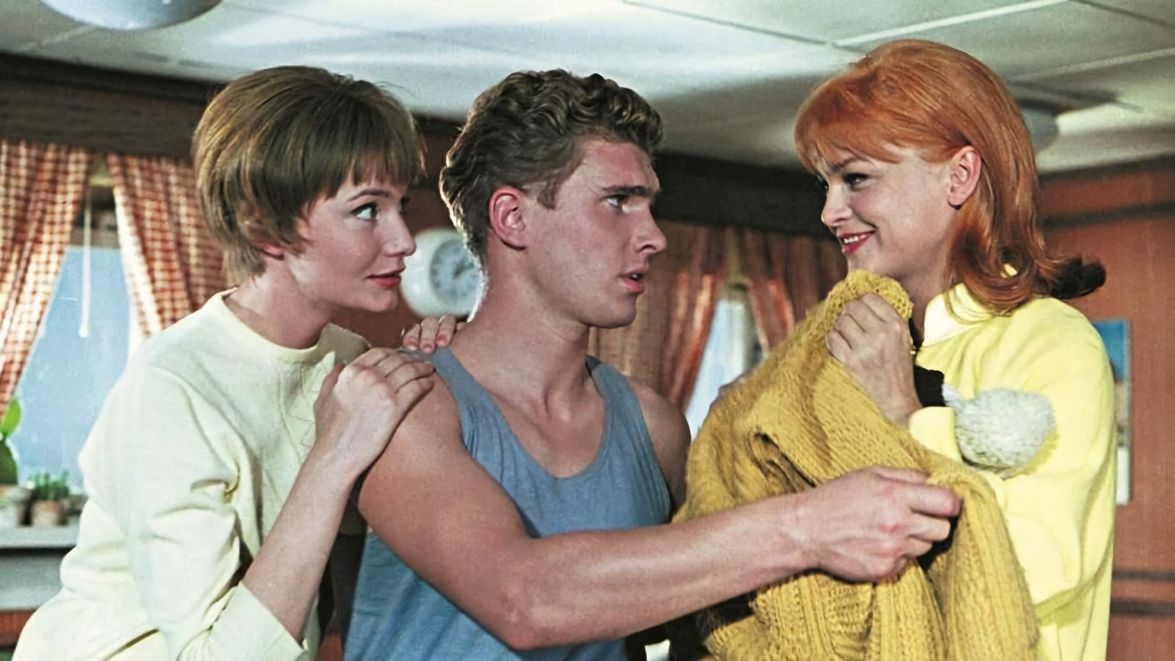 Reise ins Ehebett (1966)