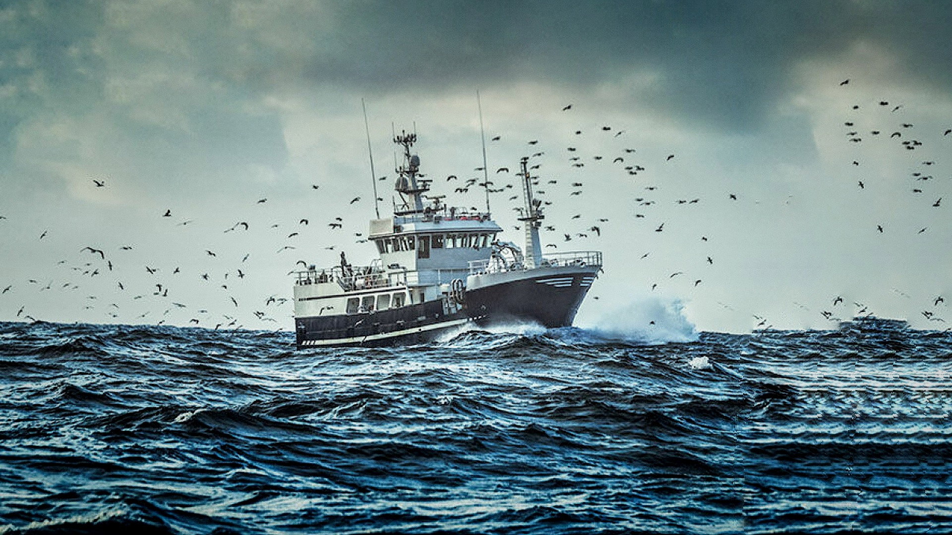 East Harbour Heroes backdrop