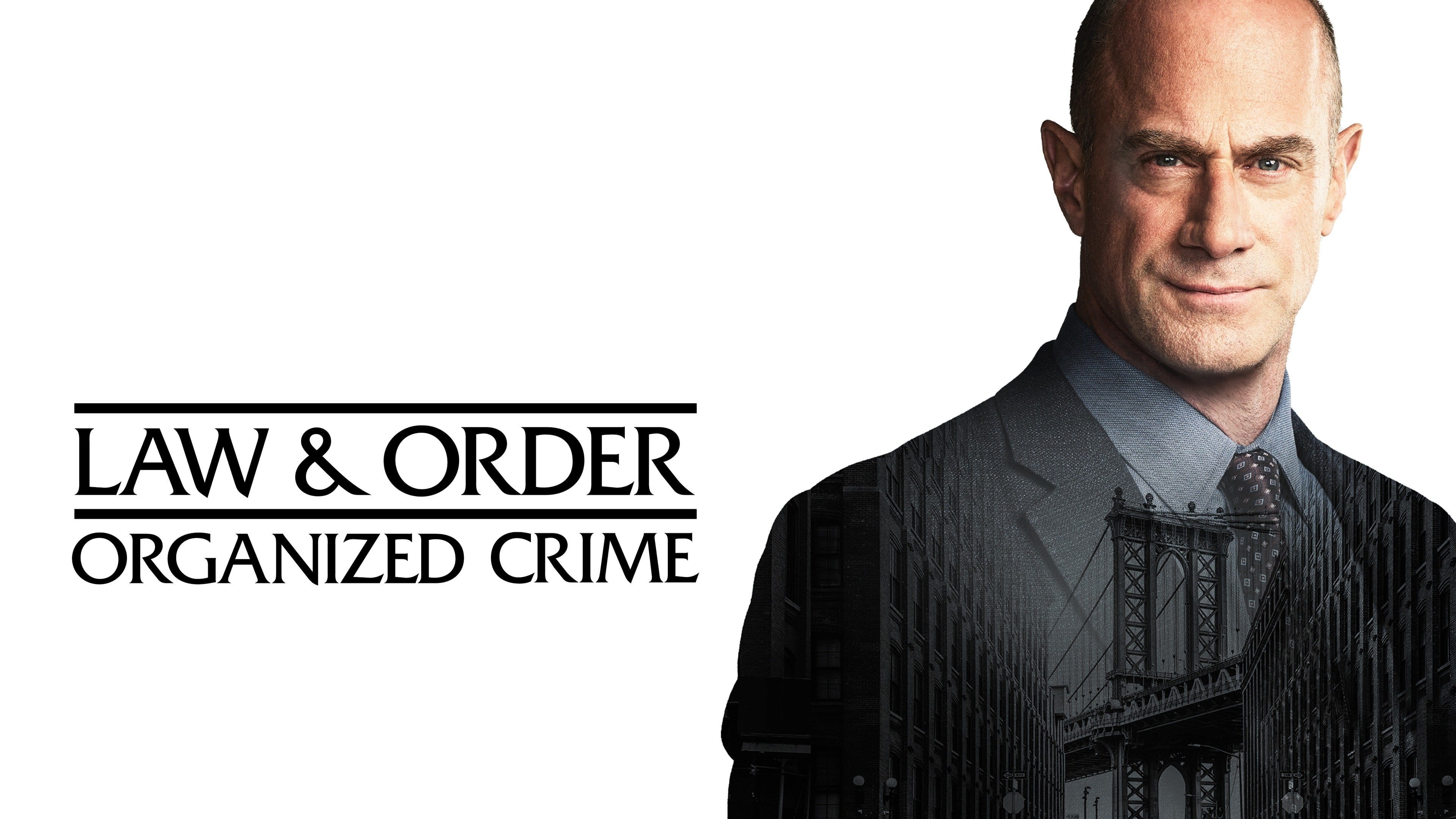 Mary Elizabeth Mastrantonio will star in Law & Order: Organized Crime season five