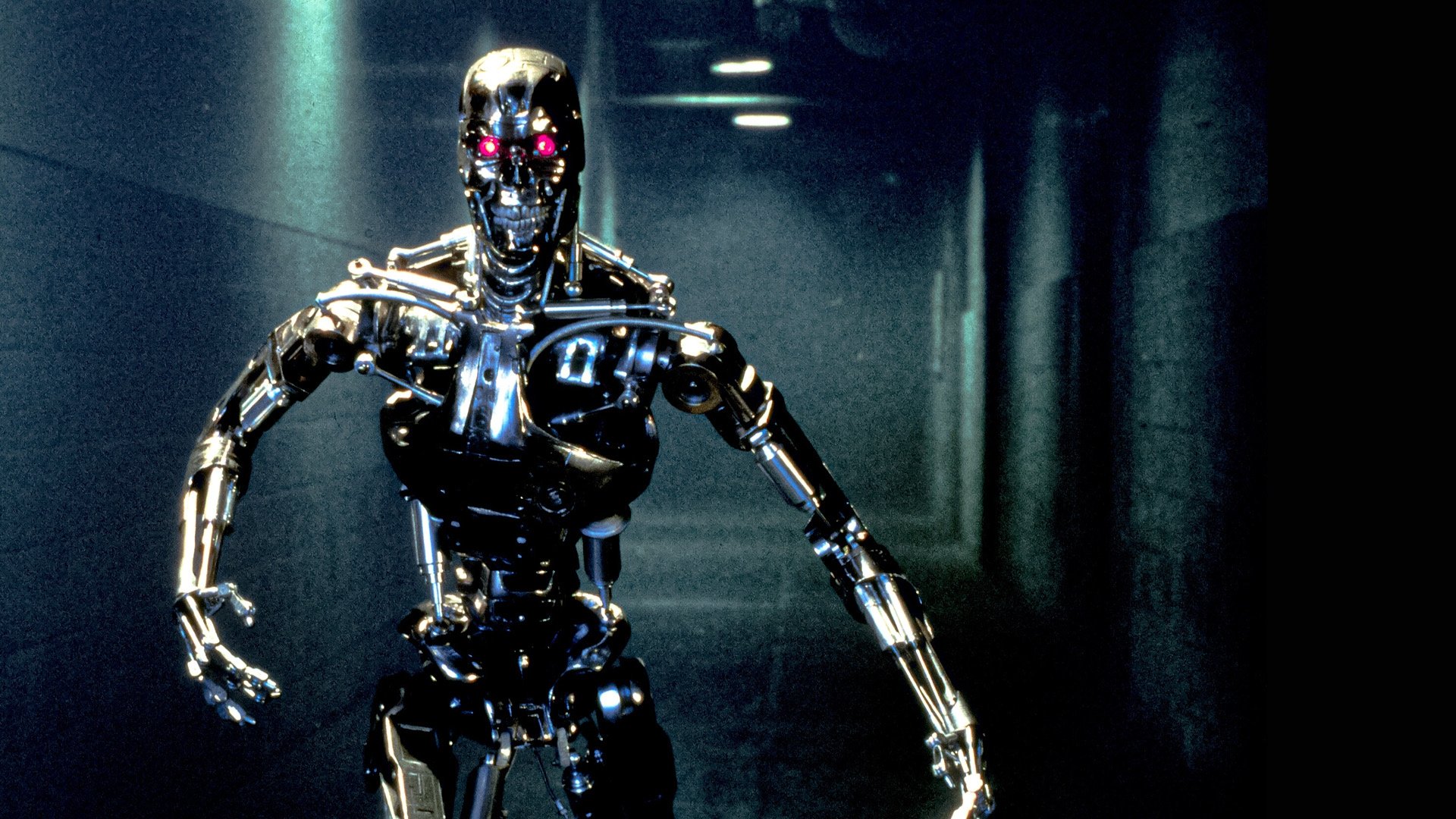 Image du film Terminator m5nbqr83krqewafq24q4jvnehlgjpg