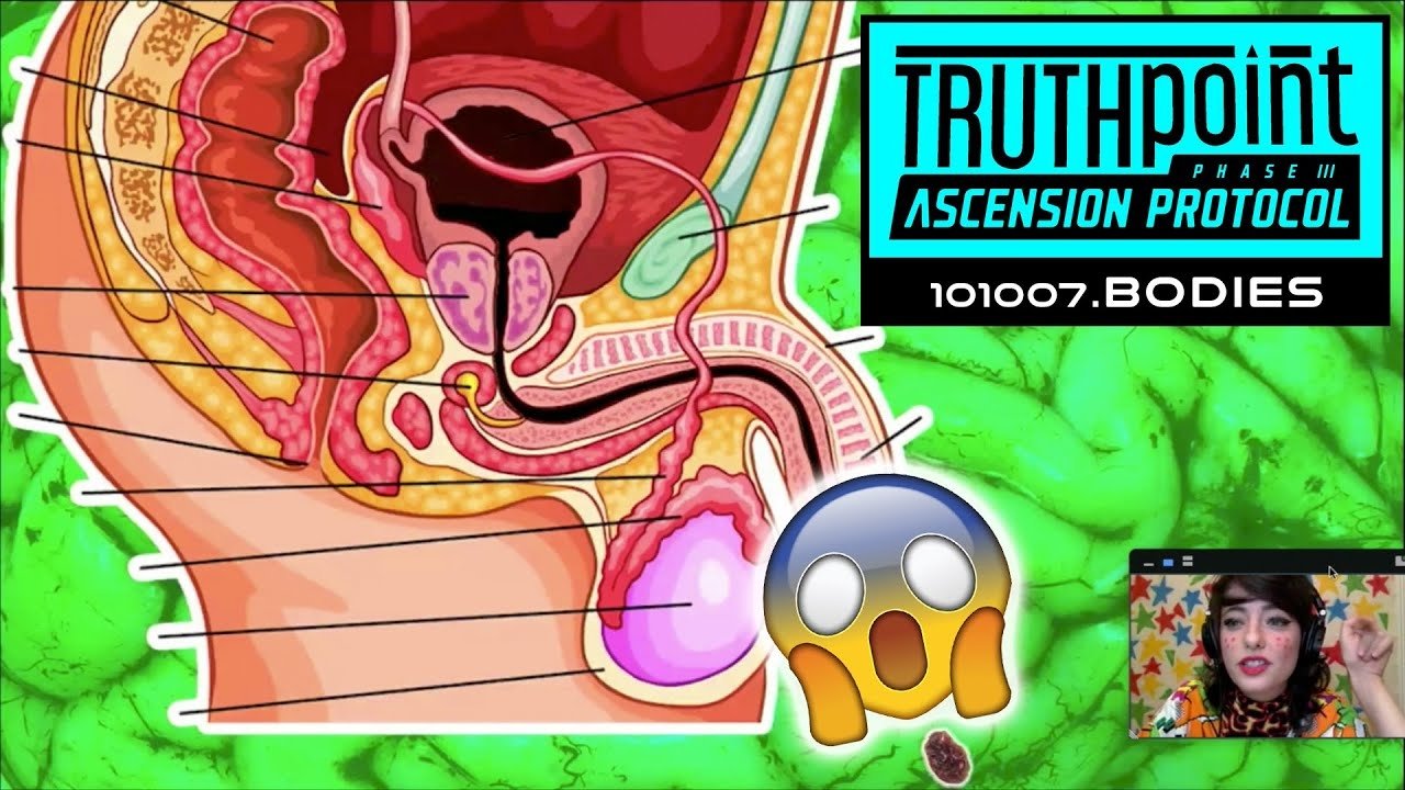 Episode 7