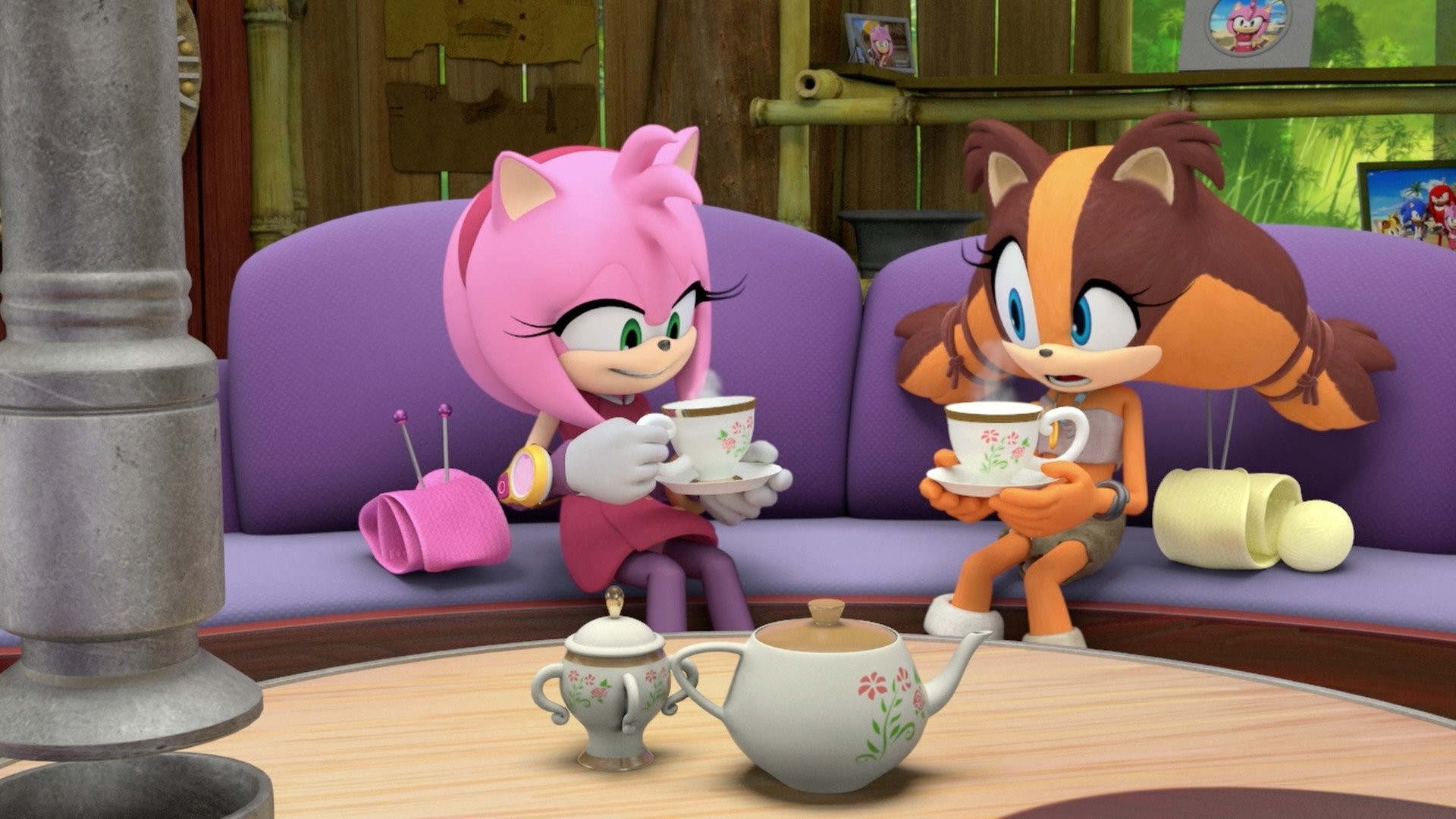 Sonic Boom - Les délicieuses vacances à domicile de Sticks et Amy