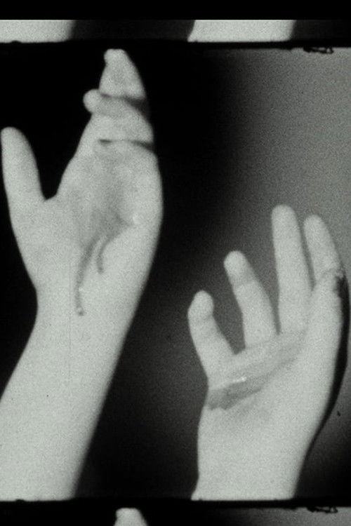 Screen Test Mutilation