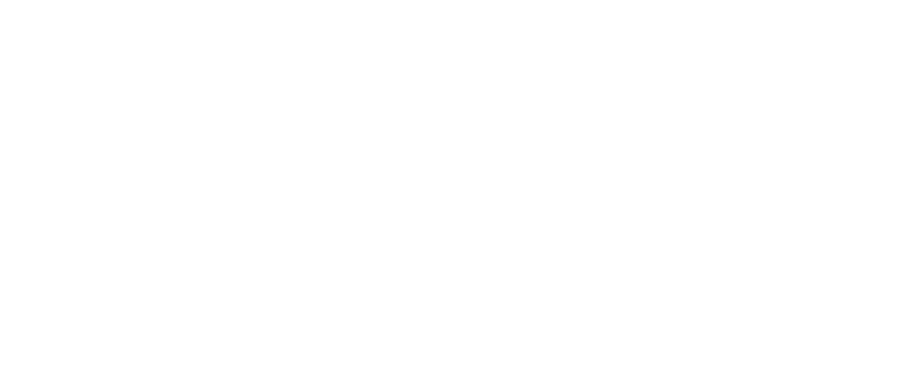 Operace Fortune: Ruse de Guerre