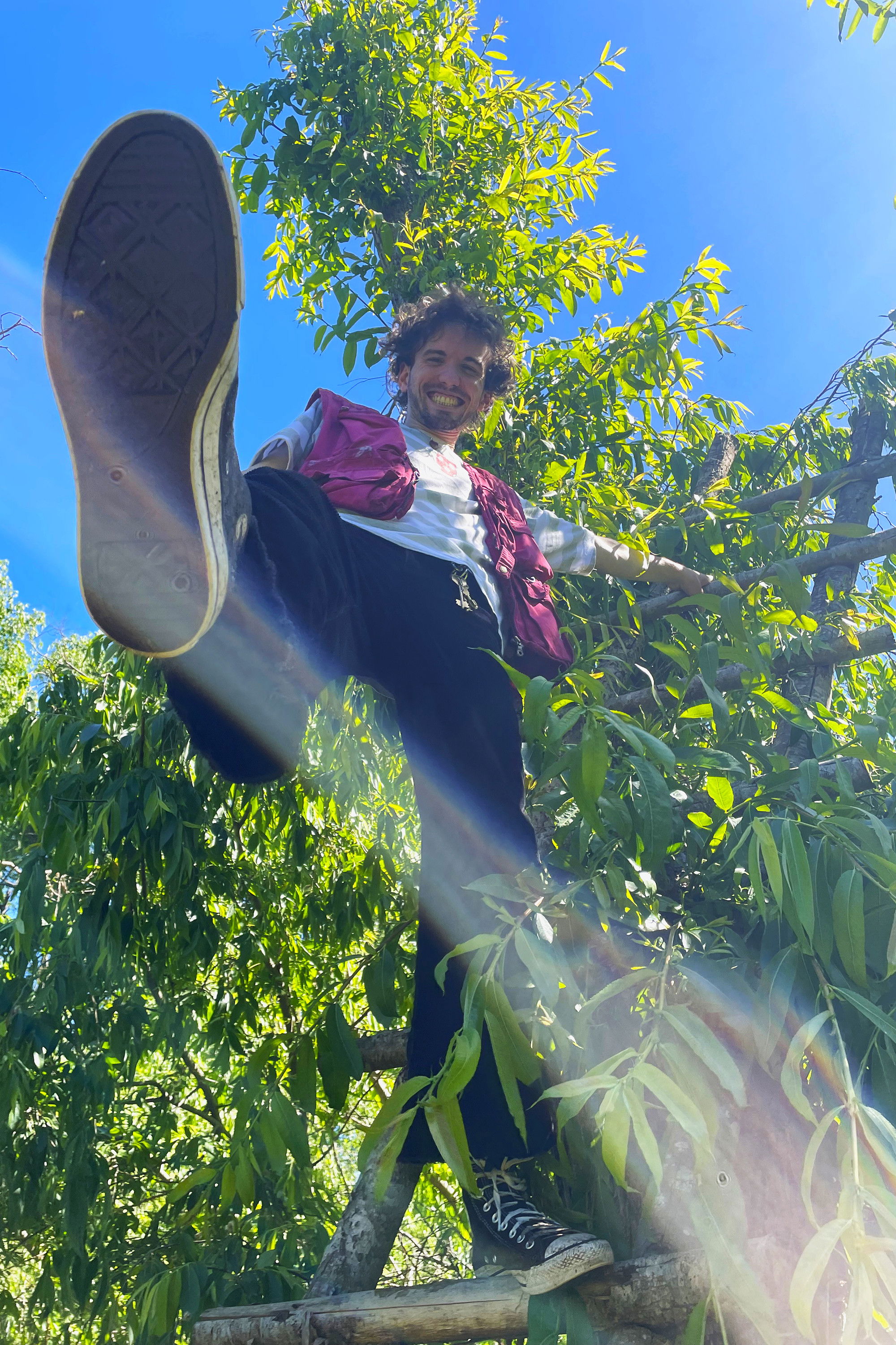 et billede af Joaquin Arturo Dolera Rosa