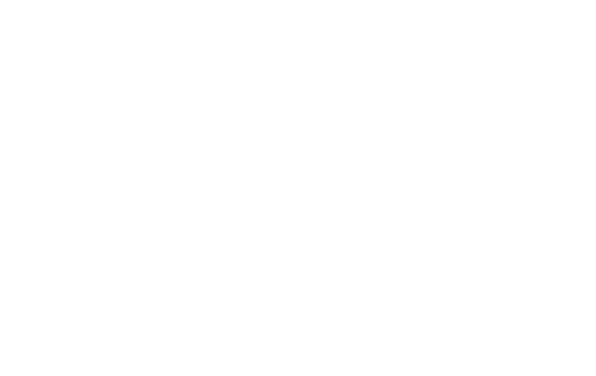 Deadly Illusions