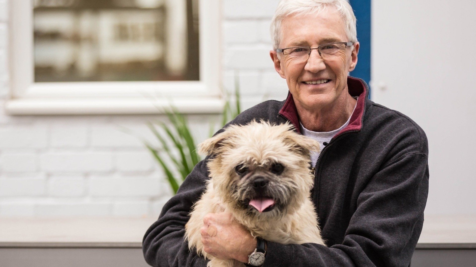 Paul O'Grady, pour l'amour des chiens - Épisode 5