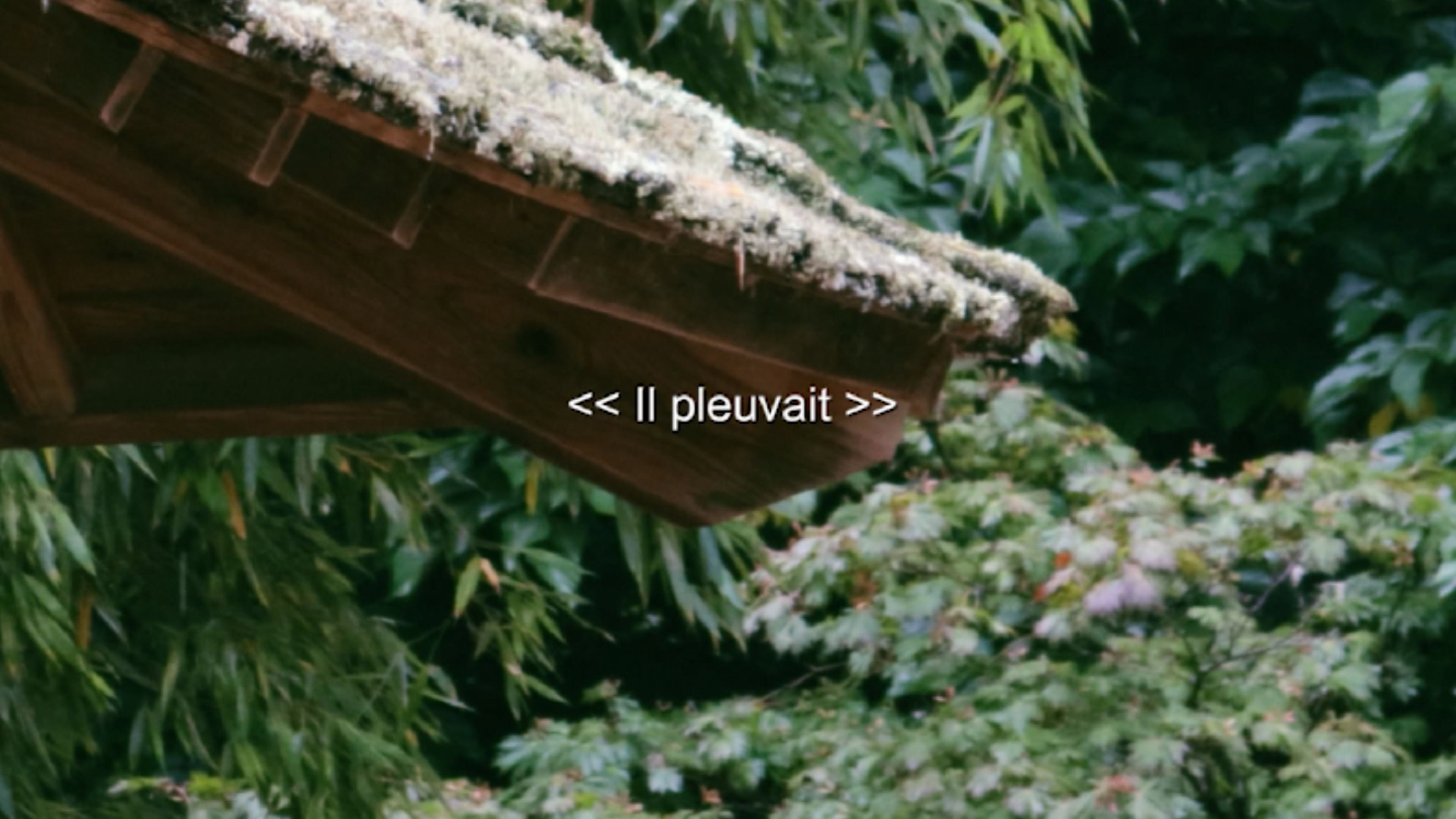 Le Goût De La Paix backdrop