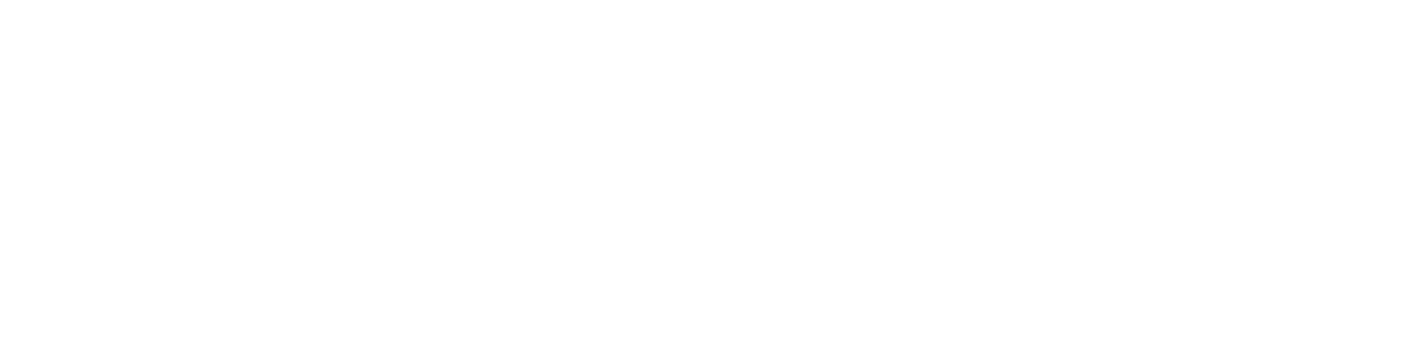 Falcon Rising Logo