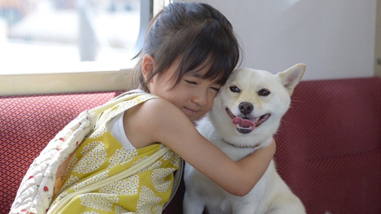 駅までの道をおしえて (2019)