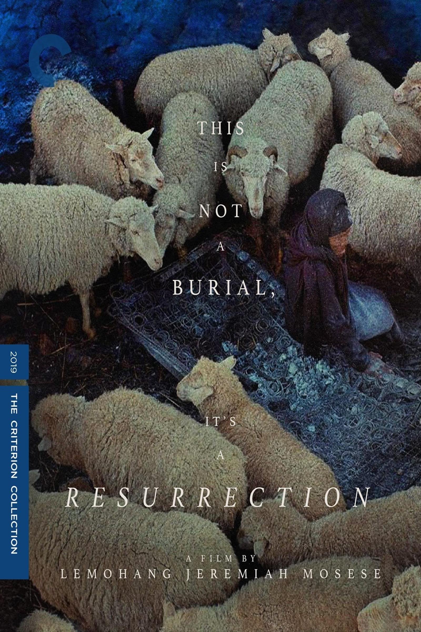 This Is Not a Burial, It’s a Resurrection