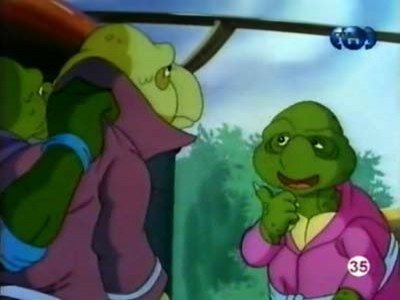 Teenage Mutant Ninja Turtles