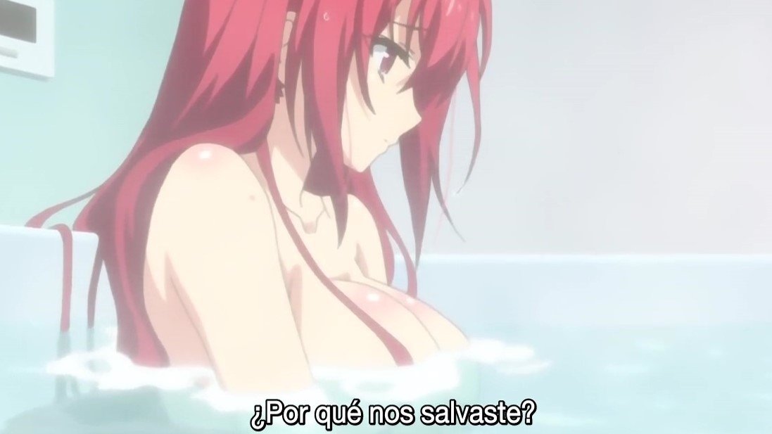 The testament of sister new devil staffel 2