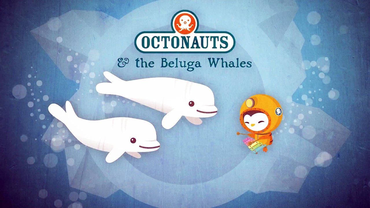 Les Octonauts - Les dauphins blancs