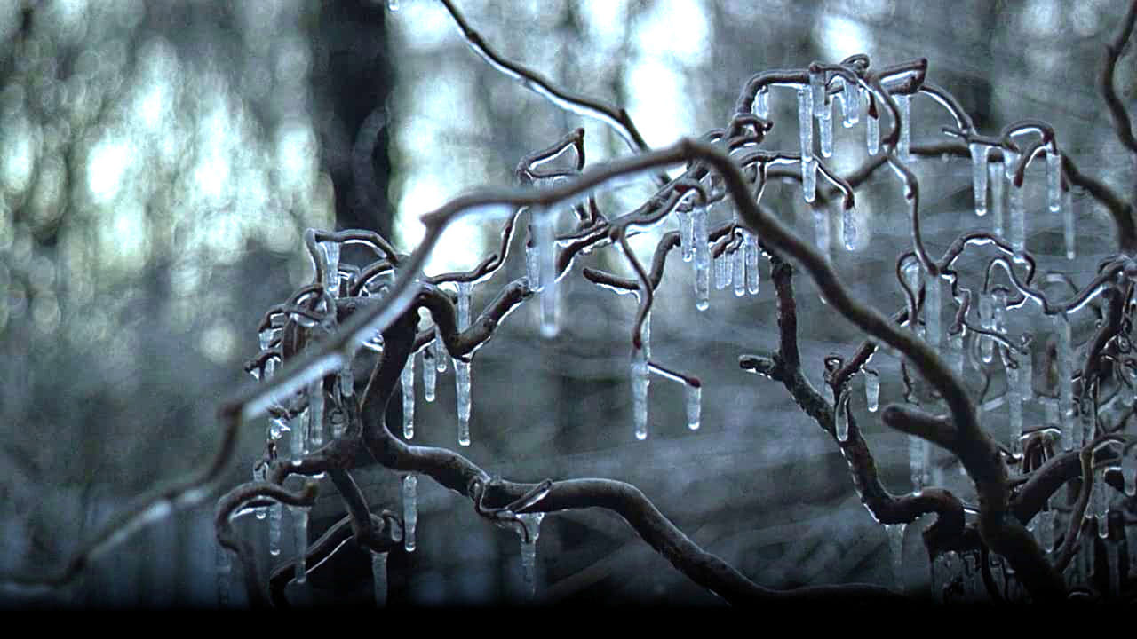 Image du film Ice Storm mdjg5a1befkdad2oycdr6facf4ajpg