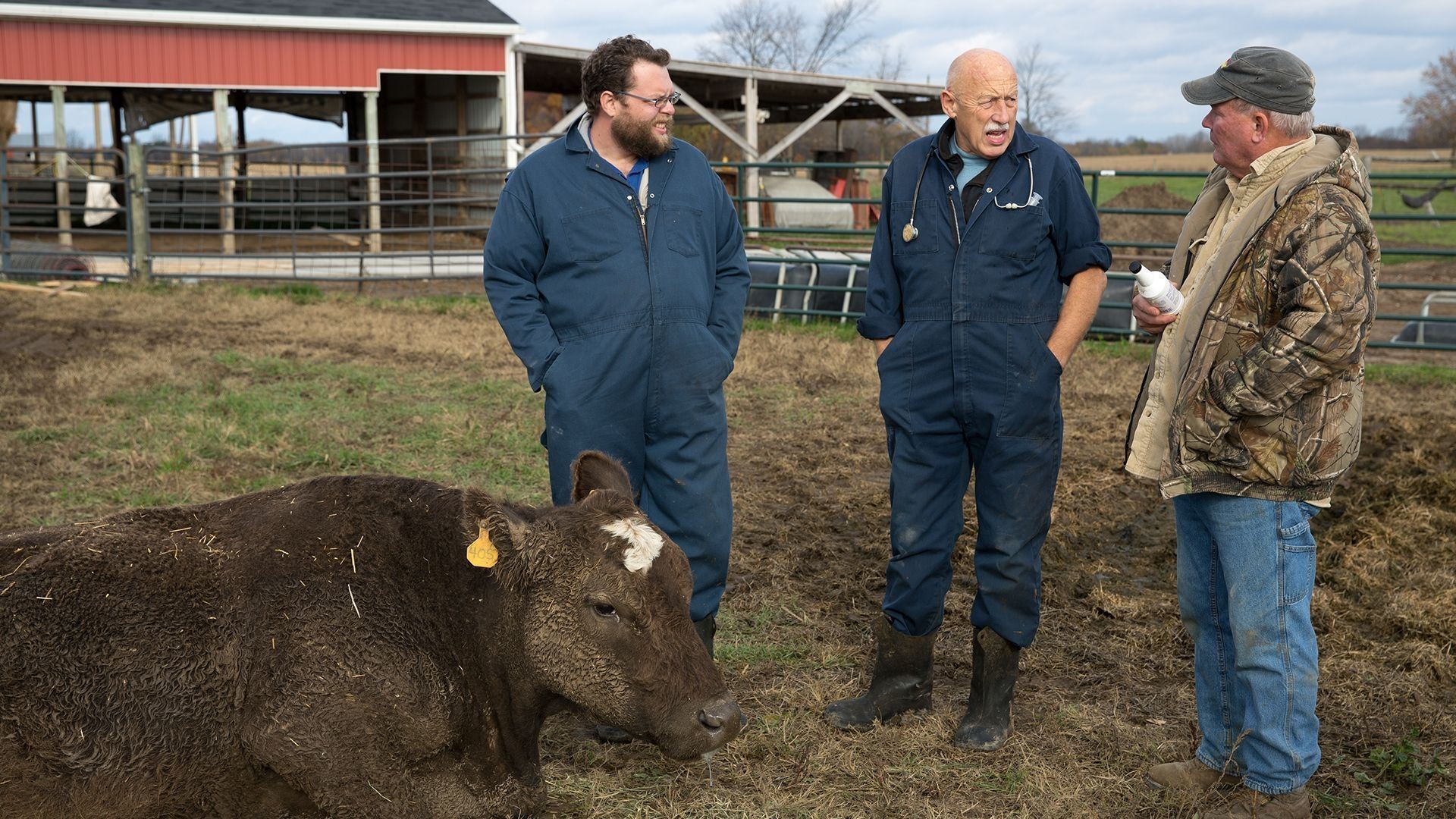 The Incredible Dr. Pol