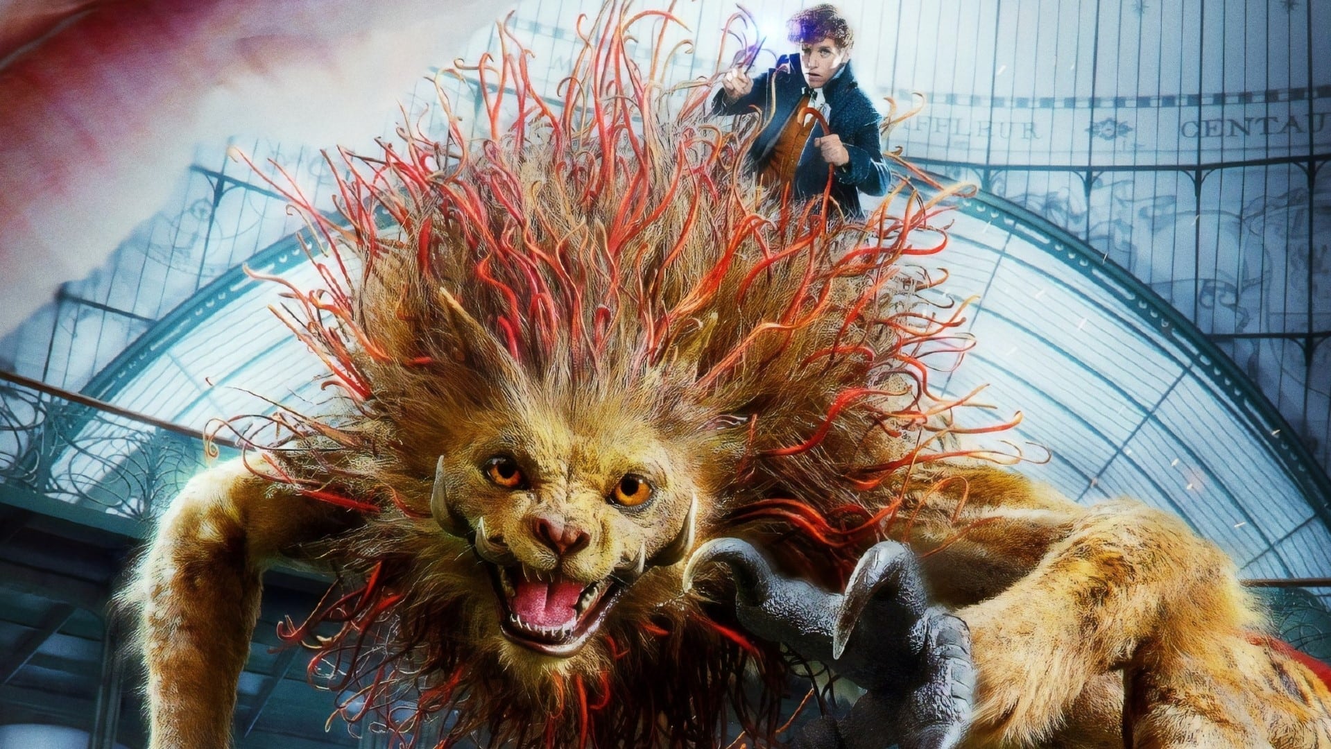 Image du film Les Animaux fantastiques : les crimes de Grindelwald mf4o0ikzzp6nqkuabymlcrzk9rijpg