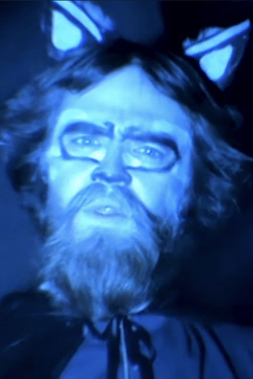 et billede af Curran Foster