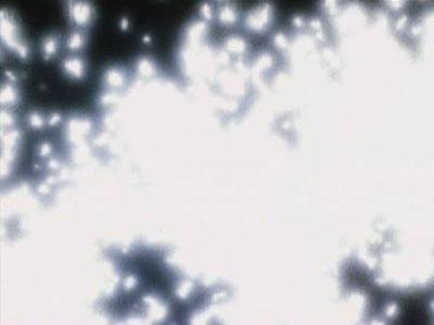 Episode 34