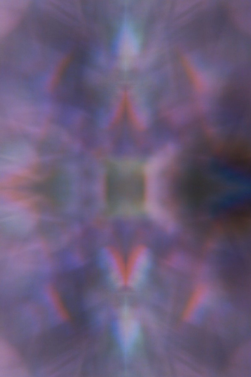 Movie image of : Orchid