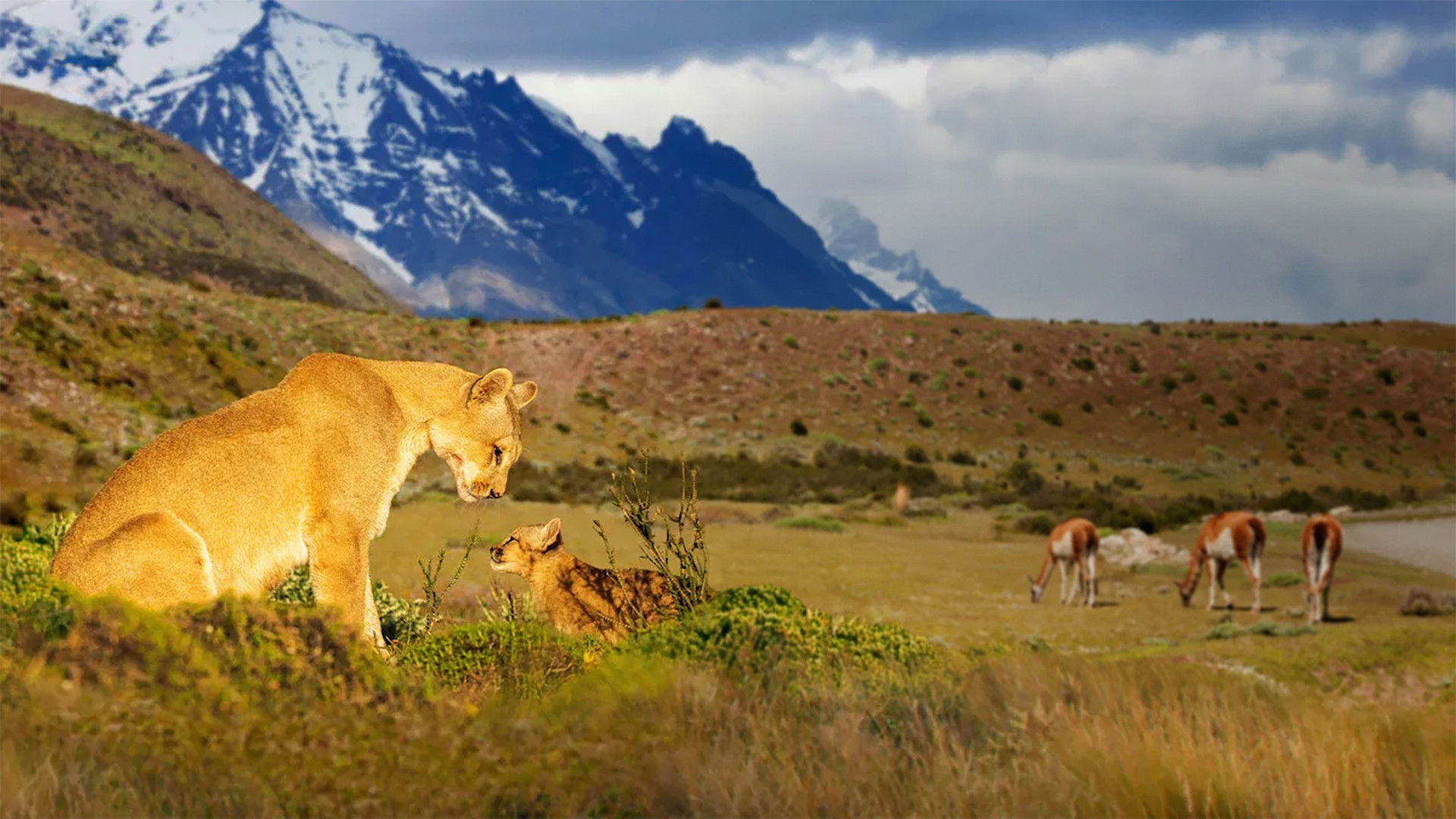 Our Great National Parks