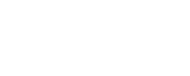 Hercule and Sherlock