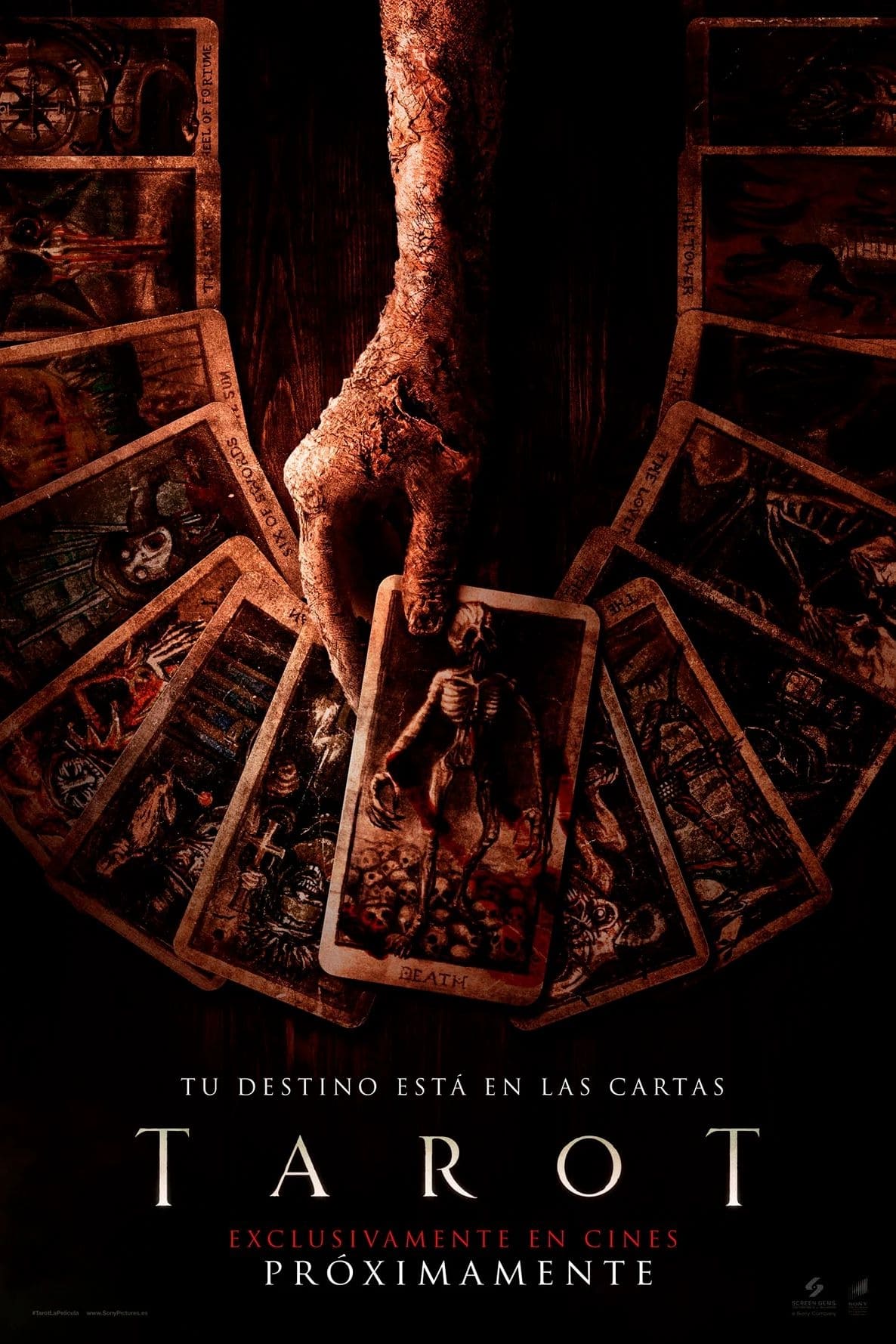 [PELÍSPLUS] VER. Tarot De La Muerte (2024) PELICULACOMPLETA ONLINE EN ESPAÑOL Y LATINO GRATIS - CUEVANA 3